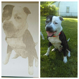 Laser engraved canvas photo